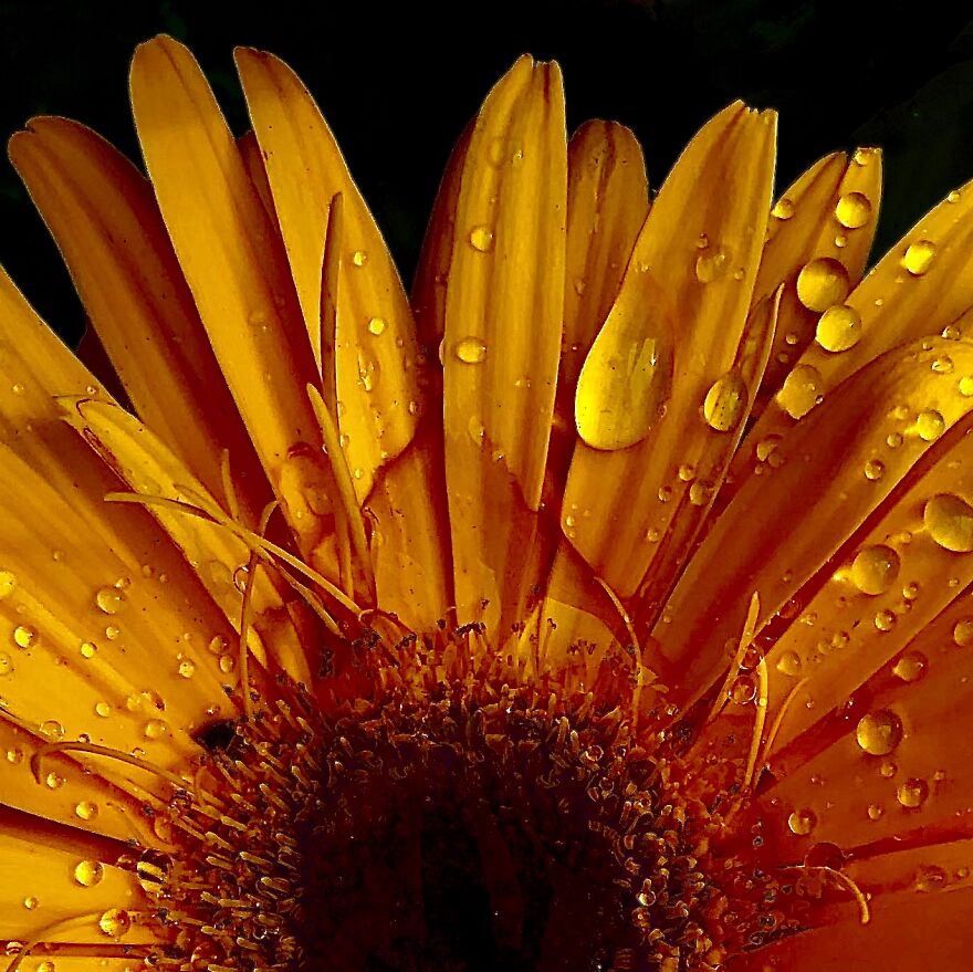 Mildly Good Photography By Me (8 Pics)