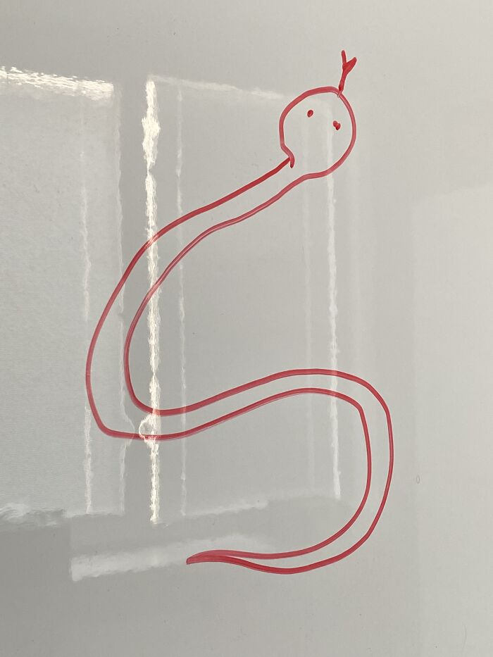 I Figured A Snake Would Be My Safest Option