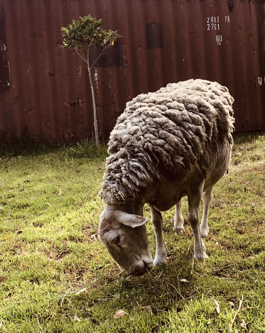 Mildly Good Photography By Me (8 Pics)