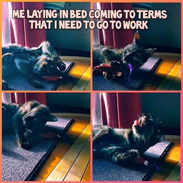 Coming To Terms That I Do In Fact Need To Work.