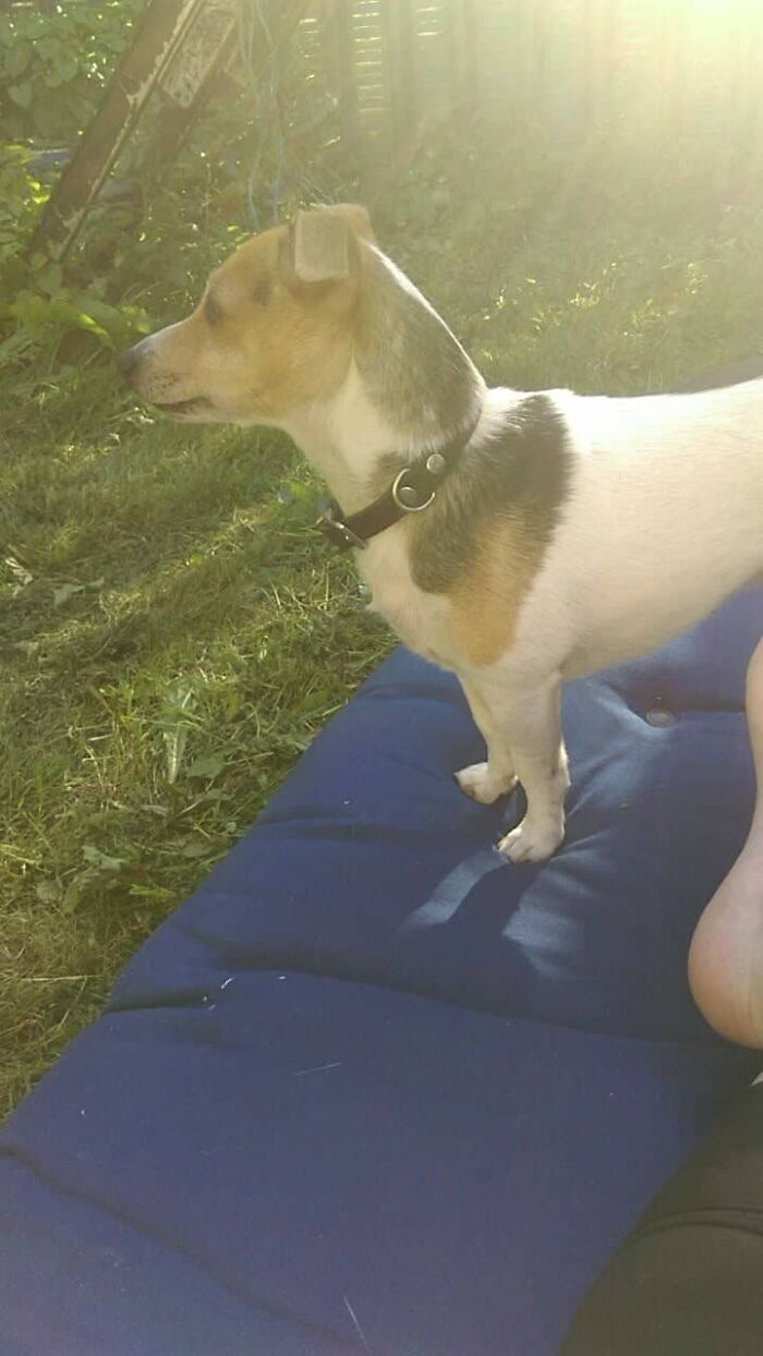 After A Long Day You Must Relax While I Keep Watch