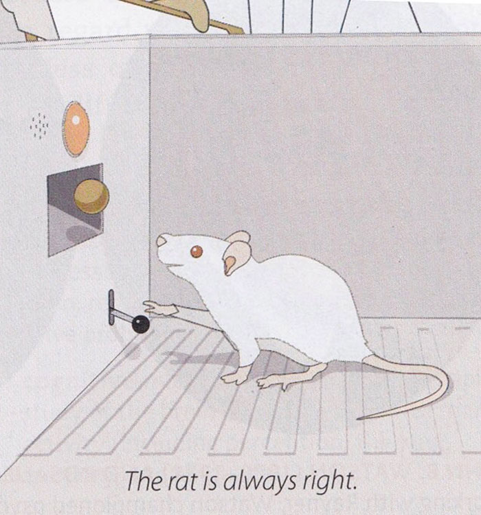 Legalize-Rats-Twitter