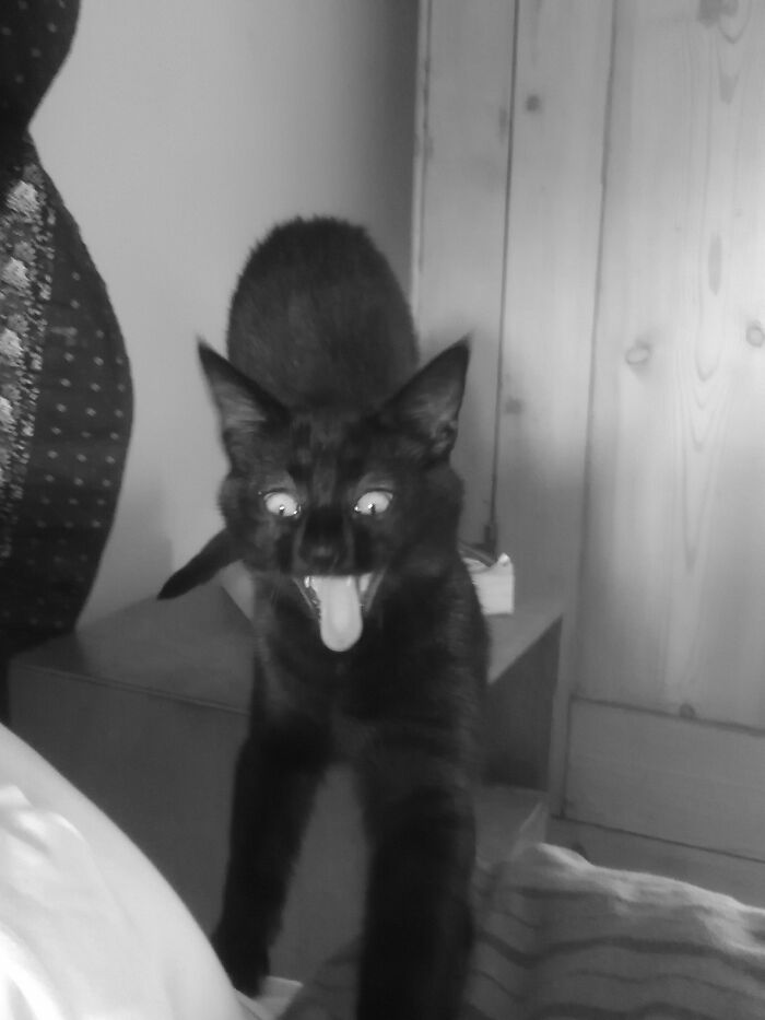 So That's What You Wear Under The Duvet!