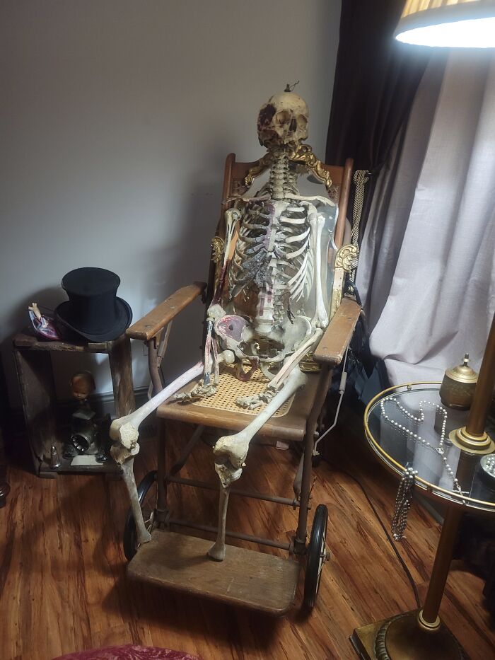 Lucy, A Birthday Gift From My Fil To My Wife