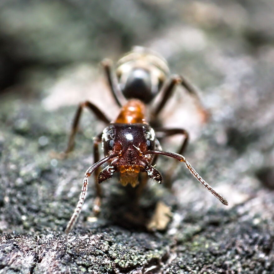 Beware Of Alien Attack