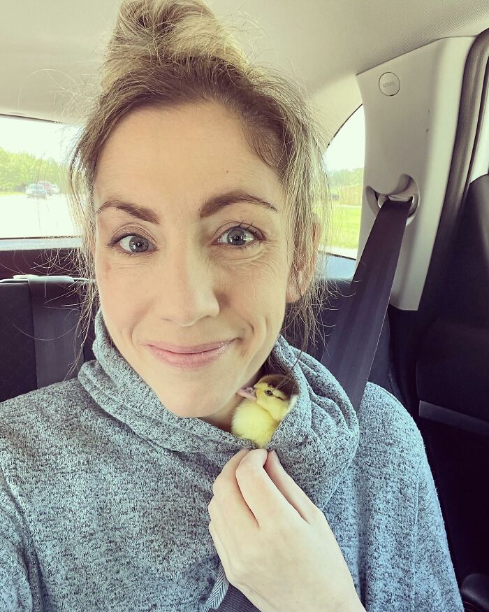 Woman Saves A Baby Duck Abandoned By Her Clutch, Raises Her As A Wonderful Rescue Pet