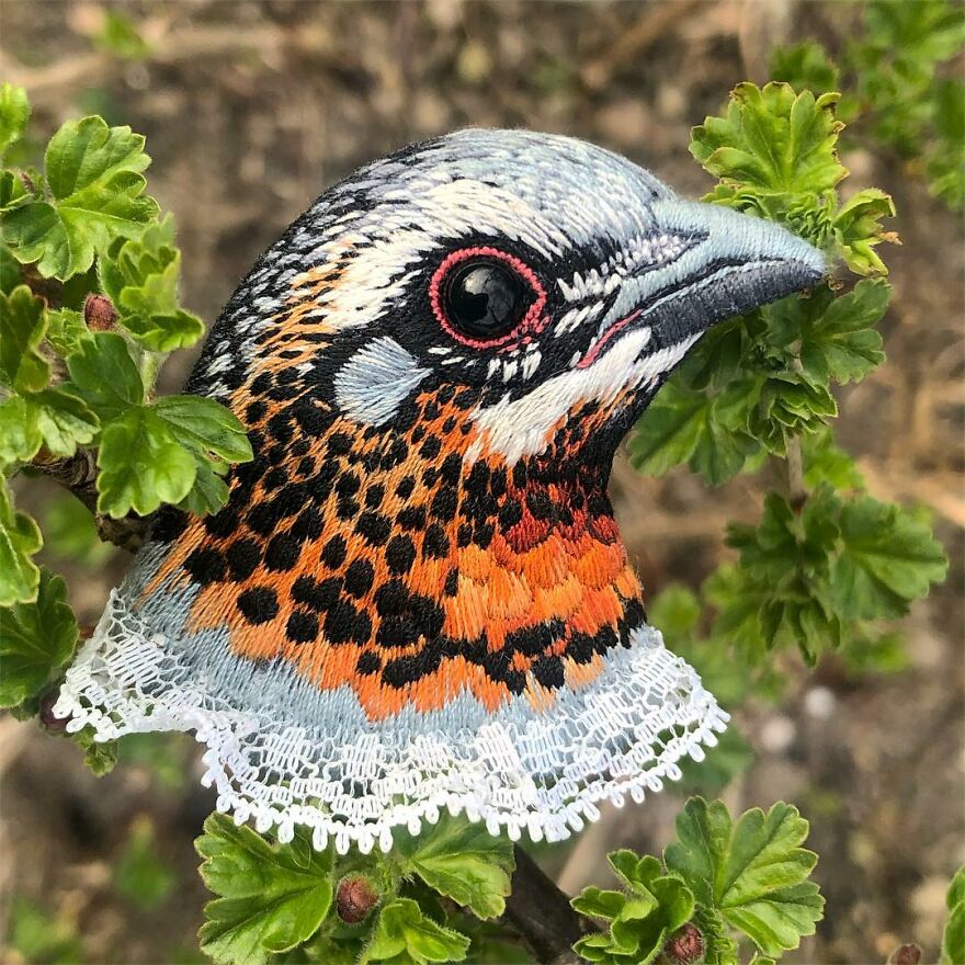Meet Paulina Bartnik's Embroidered Birds (New Pics)