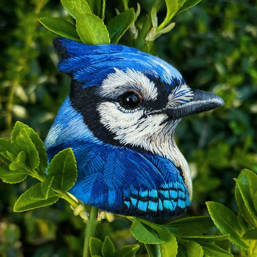 Meet Paulina Bartnik's Embroidered Birds (New Pics)