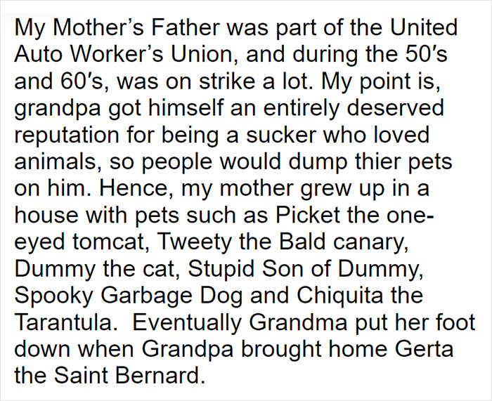 Parents Adopt A Strange Dog, Find Out It's Actually A Wolf Hybrid, It Turns Out To Be The Most Wholesome Dog Ever Parents Adopt A Strange Dog, Find Out It's Actually A Wolf Hybrid, It Turns Out To Be The Most Wholesome Dog Ever