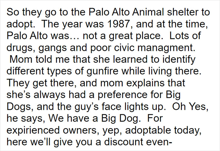 Parents Adopt A Strange Dog, Find Out It's Actually A Wolf Hybrid, It Turns Out To Be The Most Wholesome Dog Ever Parents Adopt A Strange Dog, Find Out It's Actually A Wolf Hybrid, It Turns Out To Be The Most Wholesome Dog Ever