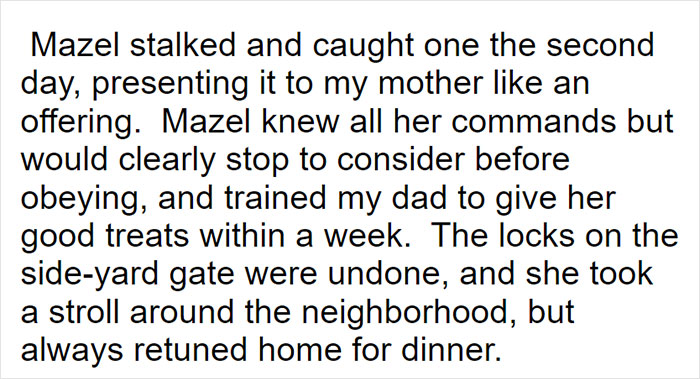 Parents Adopt A Strange Dog, Find Out It's Actually A Wolf Hybrid, It Turns Out To Be The Most Wholesome Dog Ever Parents Adopt A Strange Dog, Find Out It's Actually A Wolf Hybrid, It Turns Out To Be The Most Wholesome Dog Ever