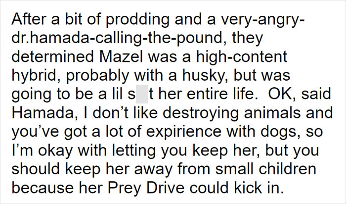 Parents Adopt A Strange Dog, Find Out It's Actually A Wolf Hybrid, It Turns Out To Be The Most Wholesome Dog Ever Parents Adopt A Strange Dog, Find Out It's Actually A Wolf Hybrid, It Turns Out To Be The Most Wholesome Dog Ever