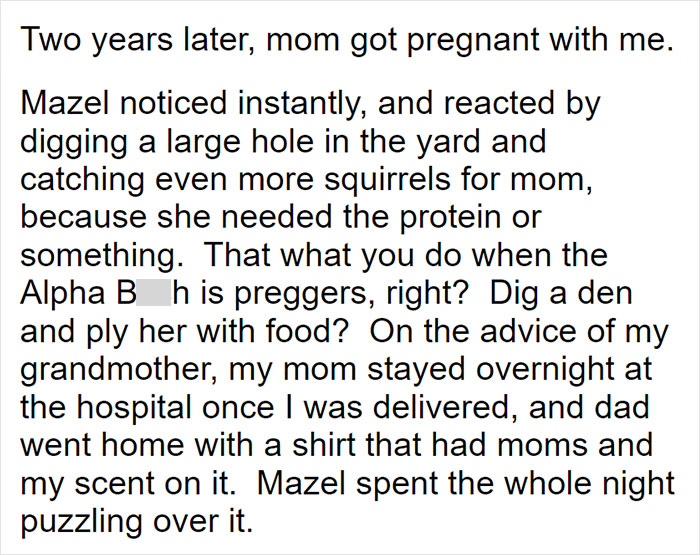 Parents Adopt A Strange Dog, Find Out It's Actually A Wolf Hybrid, It Turns Out To Be The Most Wholesome Dog Ever Parents Adopt A Strange Dog, Find Out It's Actually A Wolf Hybrid, It Turns Out To Be The Most Wholesome Dog Ever