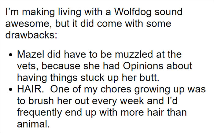 Parents Adopt A Strange Dog, Find Out It's Actually A Wolf Hybrid, It Turns Out To Be The Most Wholesome Dog Ever Parents Adopt A Strange Dog, Find Out It's Actually A Wolf Hybrid, It Turns Out To Be The Most Wholesome Dog Ever
