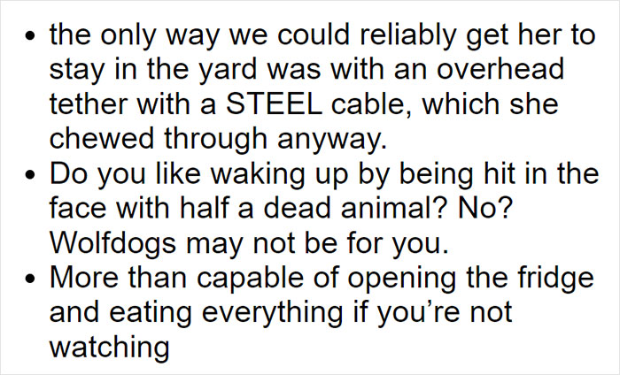 Parents Adopt A Strange Dog, Find Out It's Actually A Wolf Hybrid, It Turns Out To Be The Most Wholesome Dog Ever Parents Adopt A Strange Dog, Find Out It's Actually A Wolf Hybrid, It Turns Out To Be The Most Wholesome Dog Ever