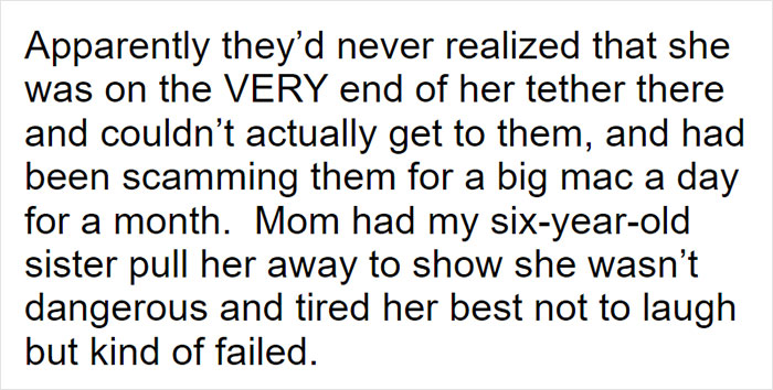 Parents Adopt A Strange Dog, Find Out It's Actually A Wolf Hybrid, It Turns Out To Be The Most Wholesome Dog Ever Parents Adopt A Strange Dog, Find Out It's Actually A Wolf Hybrid, It Turns Out To Be The Most Wholesome Dog Ever