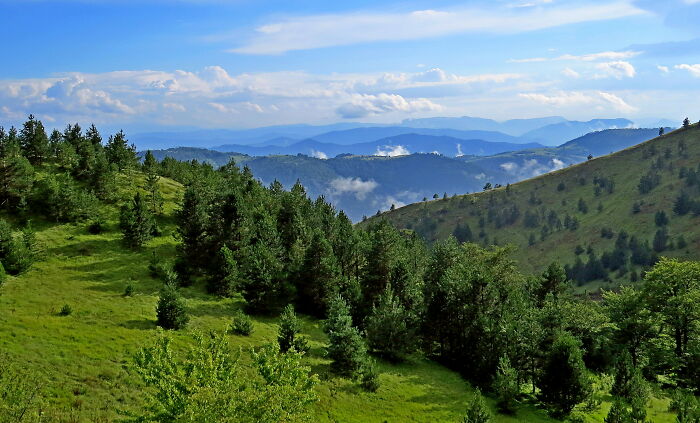 Mountain Tara -Endless Mountain Meadows - Srbija
