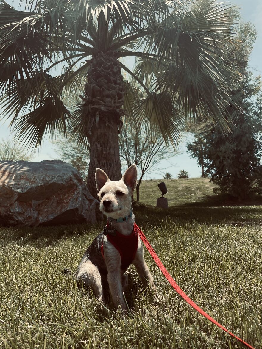 Here Are My First Published Images (40 Pics)