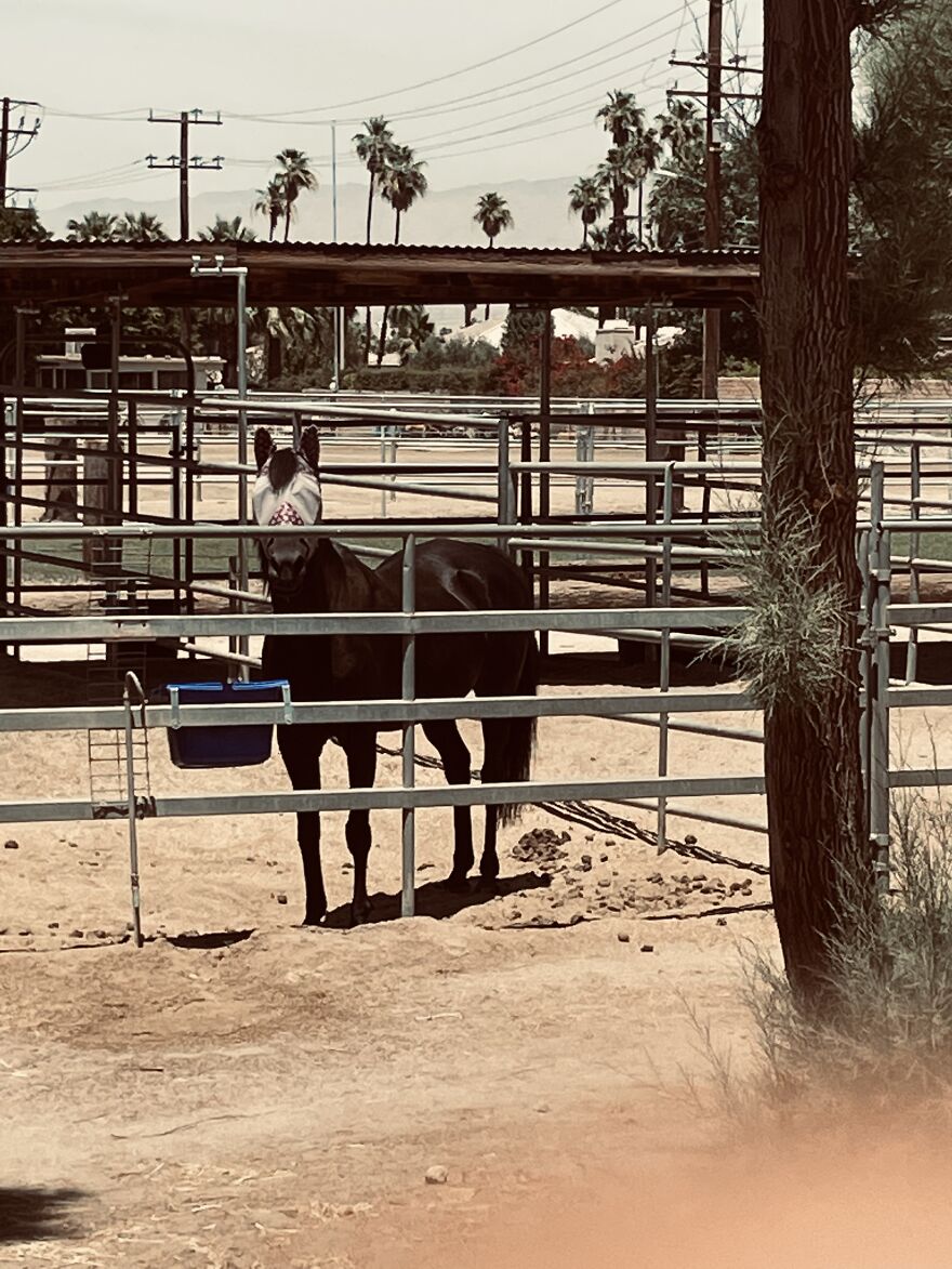 Here Are My First Published Images (40 Pics)