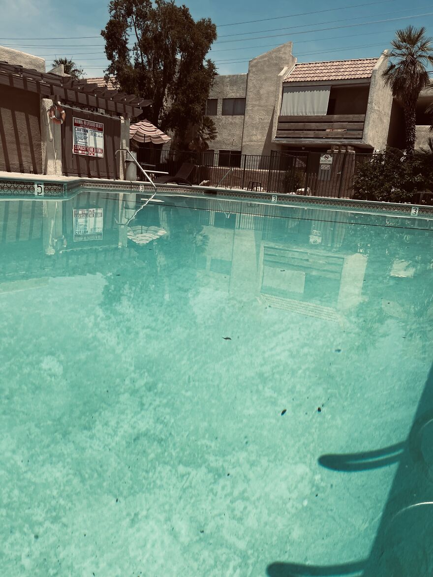 Here Are My First Published Images (40 Pics)