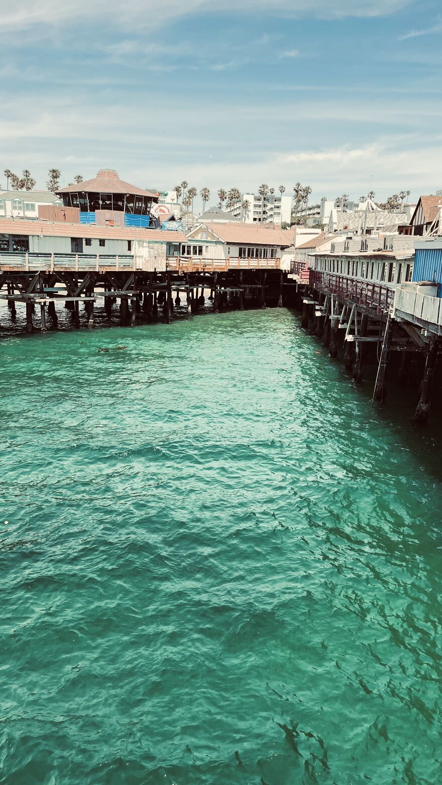 Here Are My First Published Images (40 Pics)