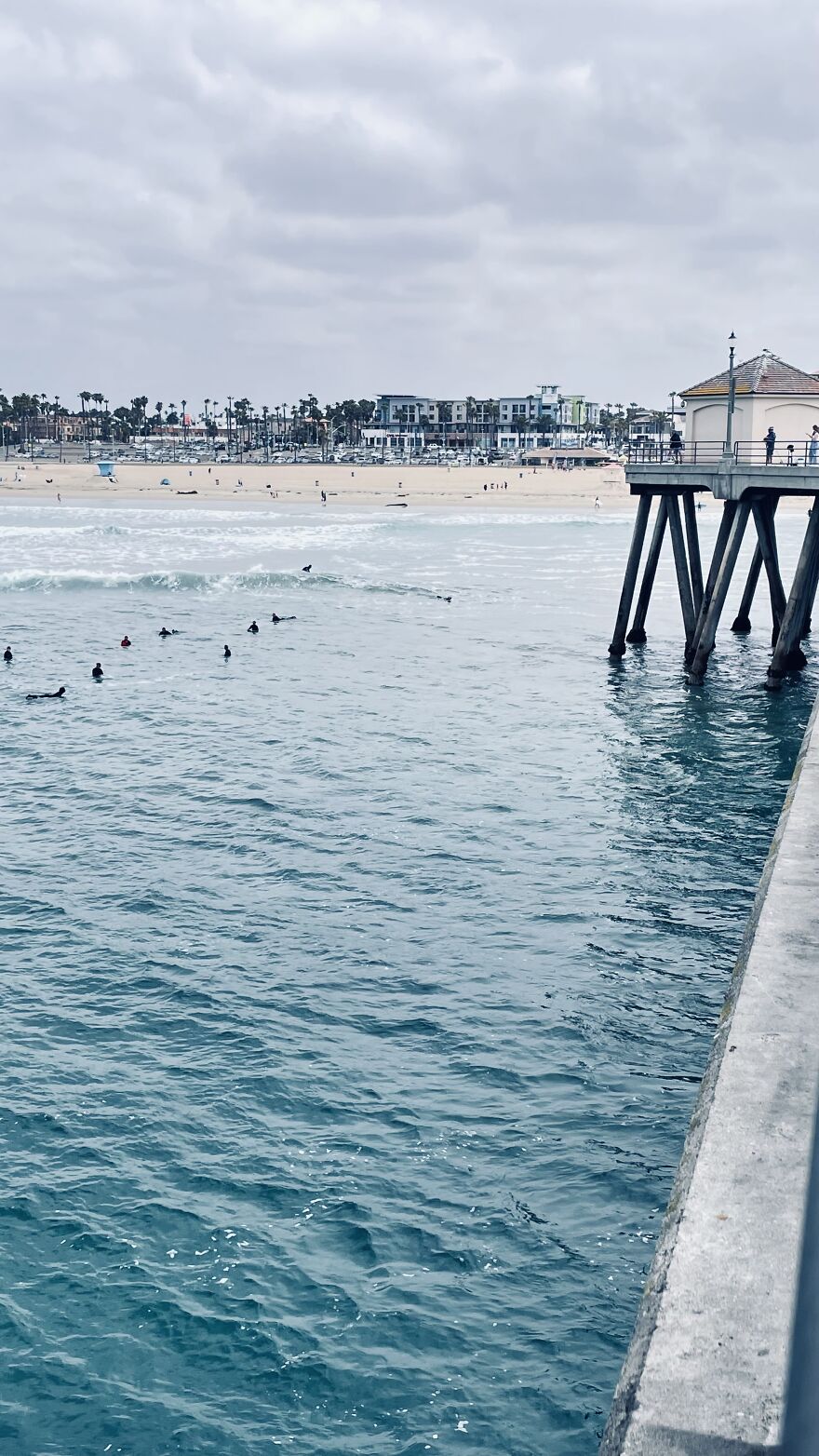 Here Are My First Published Images (40 Pics)