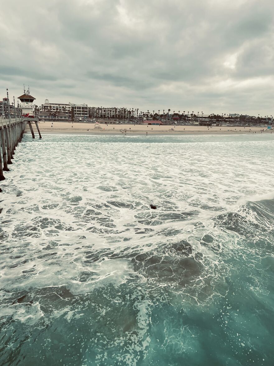 Here Are My First Published Images (40 Pics)