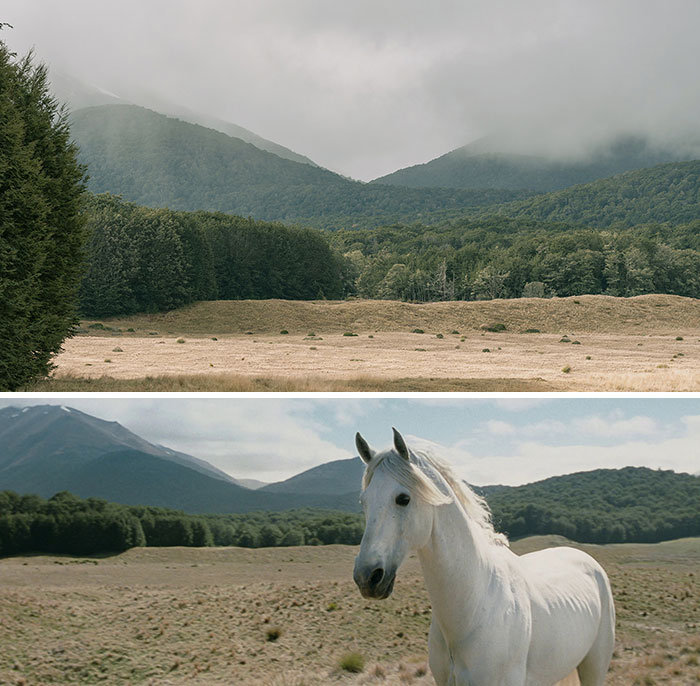 Gandalf llama a Sombragrís - Lago Mavora