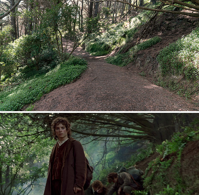 ¡Salid del camino! - Monte Victoria