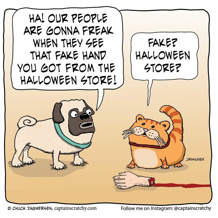 New Funny Comics From A Captain Scratchy Panel