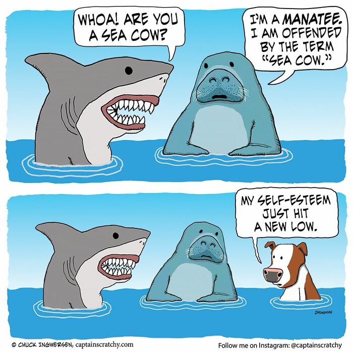 New Funny Comics From A Captain Scratchy Panel