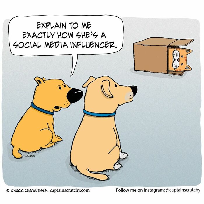 New Funny Comics From A Captain Scratchy Panel