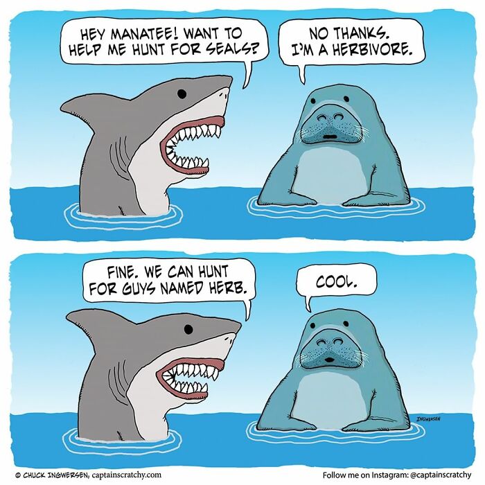 New Funny Comics From A Captain Scratchy Panel