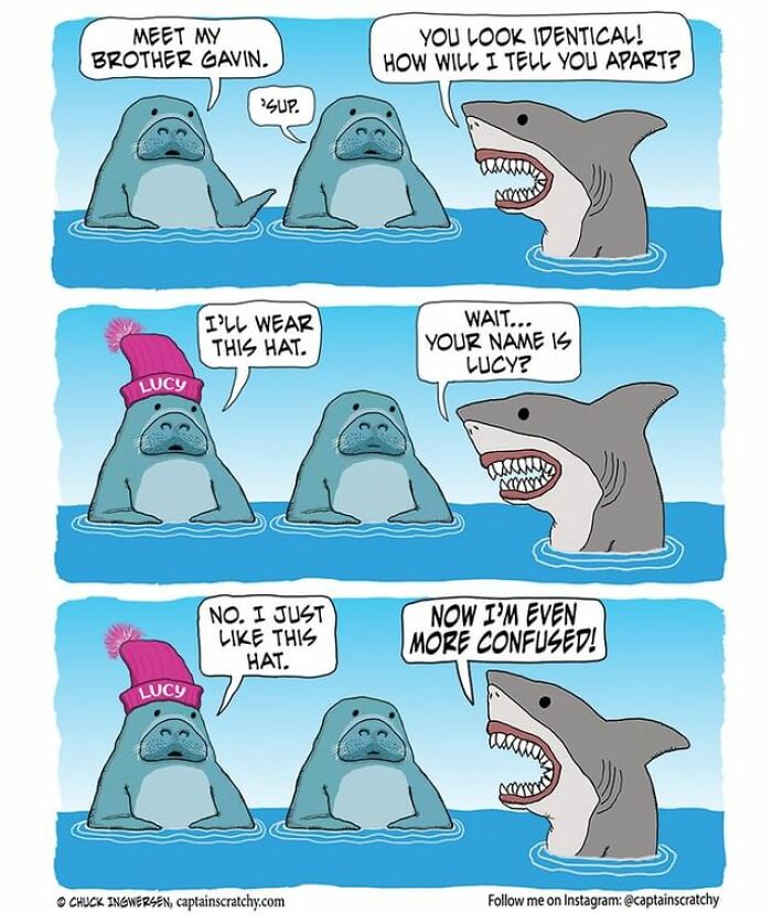 New Funny Comics From A Captain Scratchy Panel