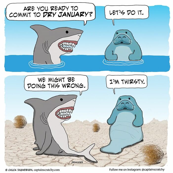 New Funny Comics From A Captain Scratchy Panel