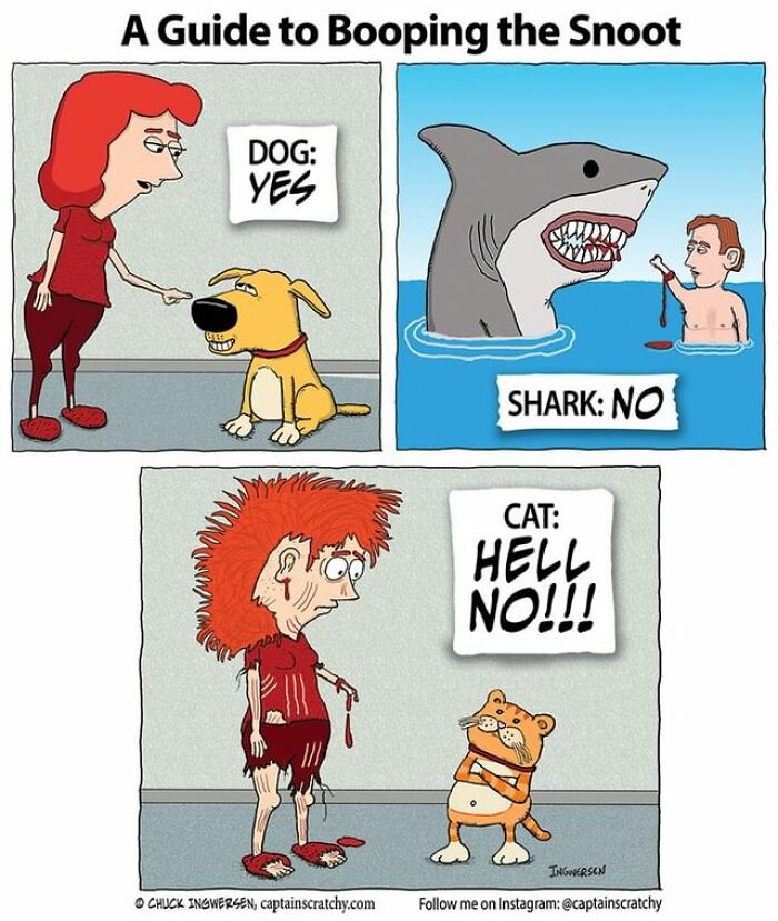 New Funny Comics From A Captain Scratchy Panel