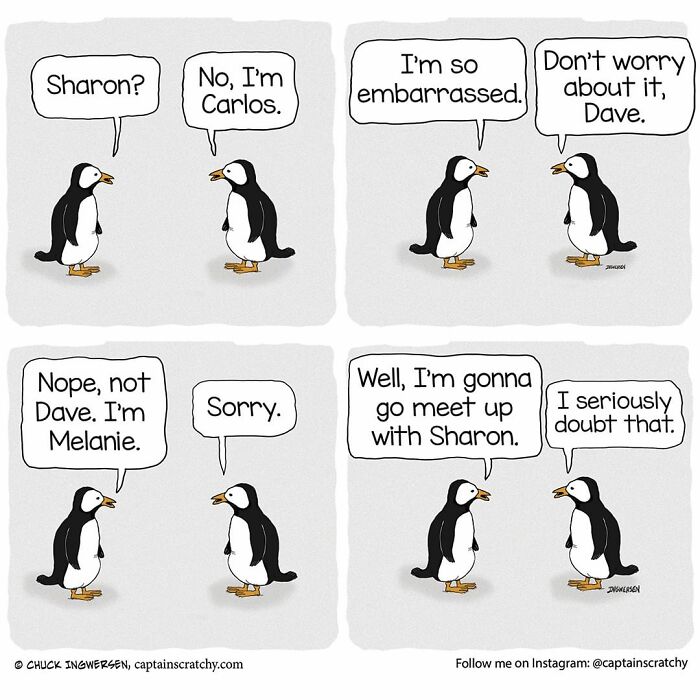 New Funny Comics From A Captain Scratchy Panel