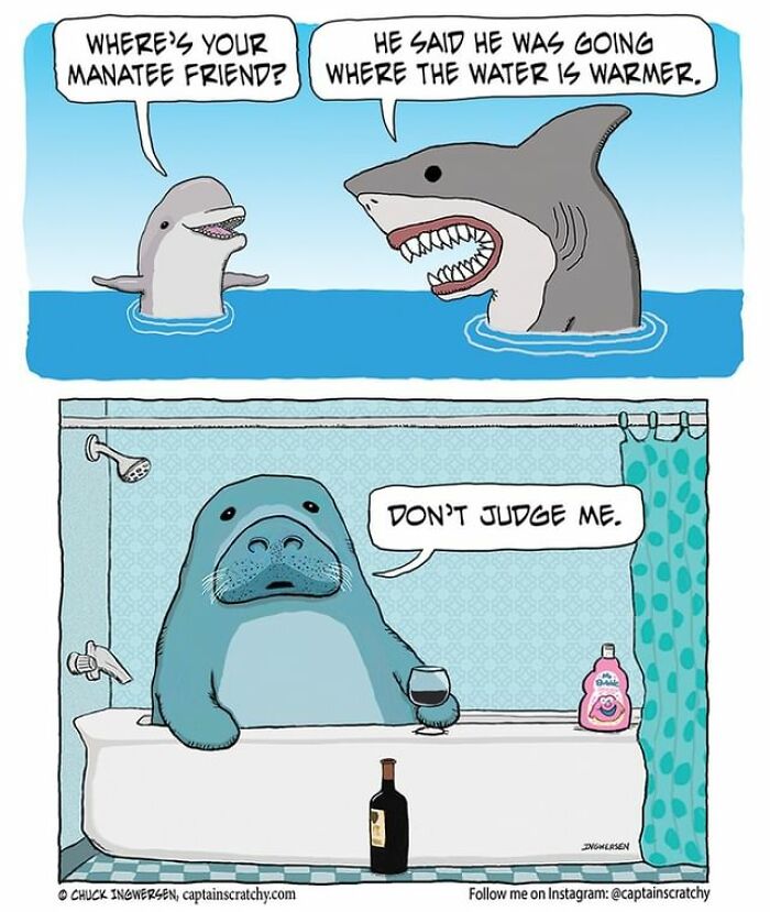 New Funny Comics From A Captain Scratchy Panel