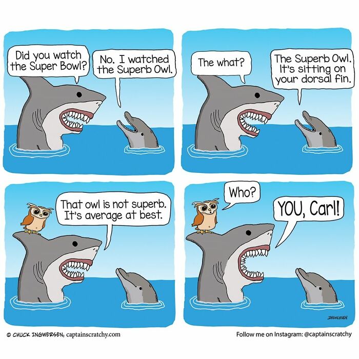 New Funny Comics From A Captain Scratchy Panel