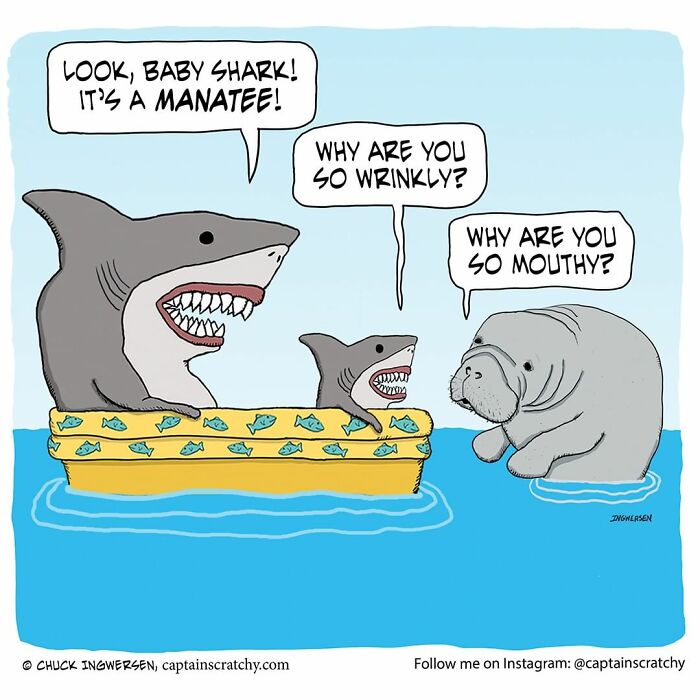 New Funny Comics From A Captain Scratchy Panel