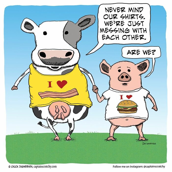 New Funny Comics From A Captain Scratchy Panel