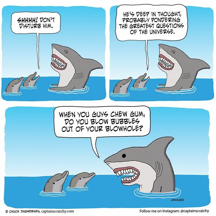 New Funny Comics From A Captain Scratchy Panel