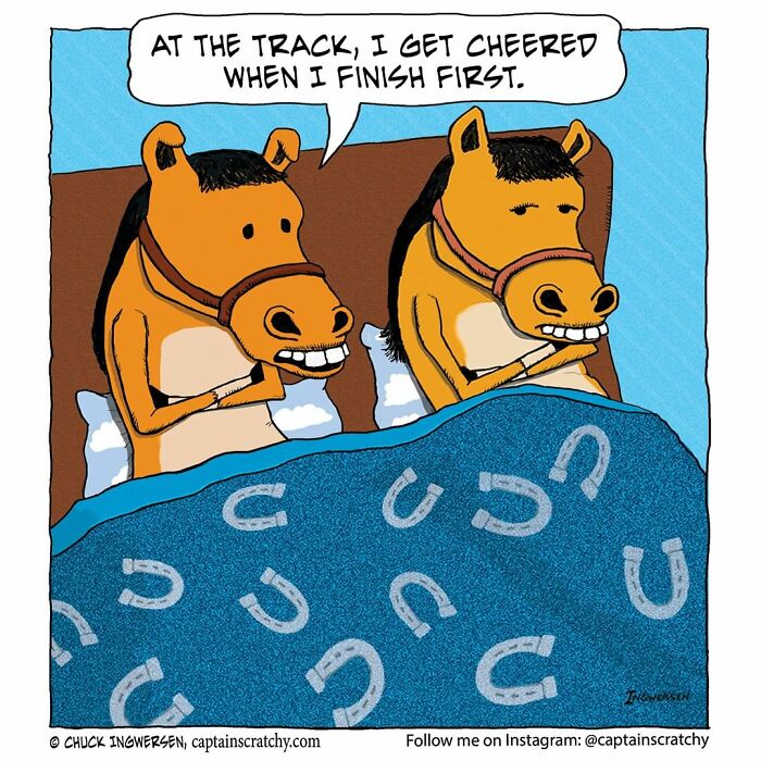 New Funny Comics From A Captain Scratchy Panel