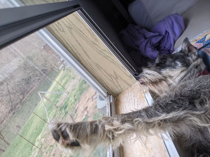 Enjoying The Lazy Morning Sun