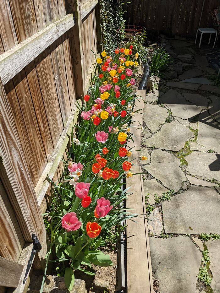 Decided To Add A Little Color This Year