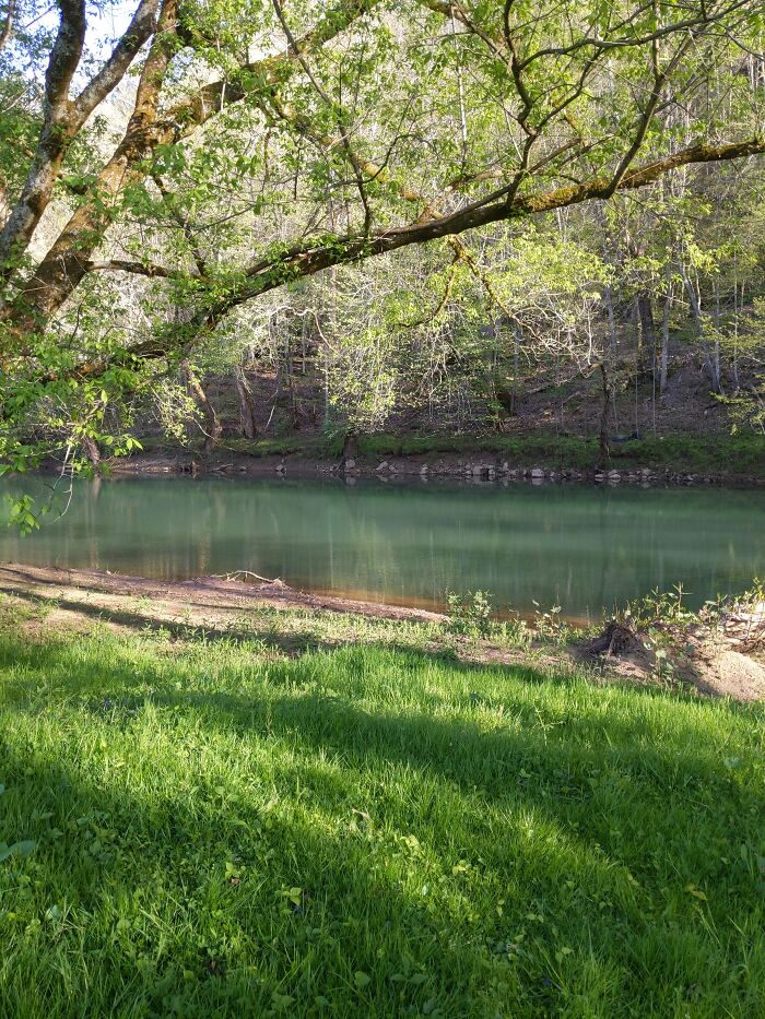 Backyard A Few Weeks Ago