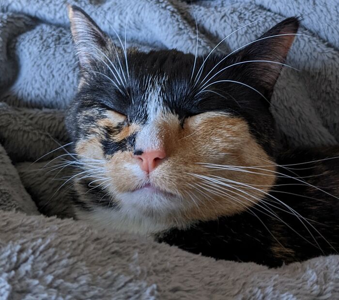 Margo While Sleeping