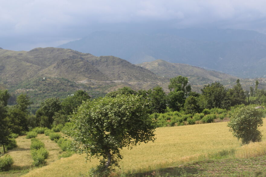 Pakistan: Evolving, Revolving Or Dissolving? Pakistan: Evolving, Revolving Or Dissolving?