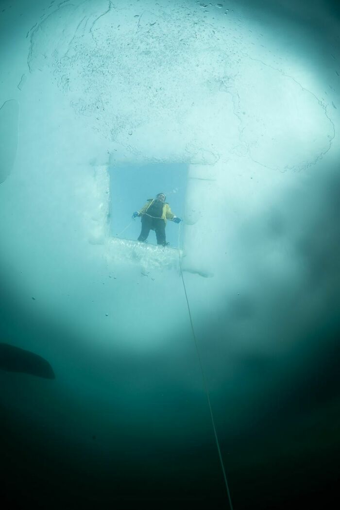 Beneath The Ice: I Took Underwater Shots Of Lake Baikal's Seals (16 Pics)