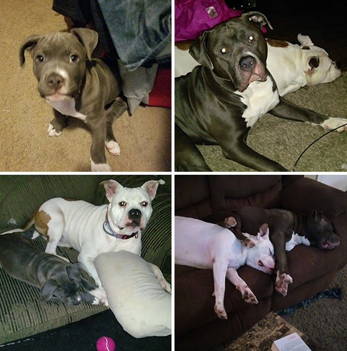 When You Find Your Best Friend